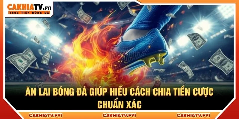 Ăn lai bóng đá giúp hiểu cách chia tiền cược chuẩn xác