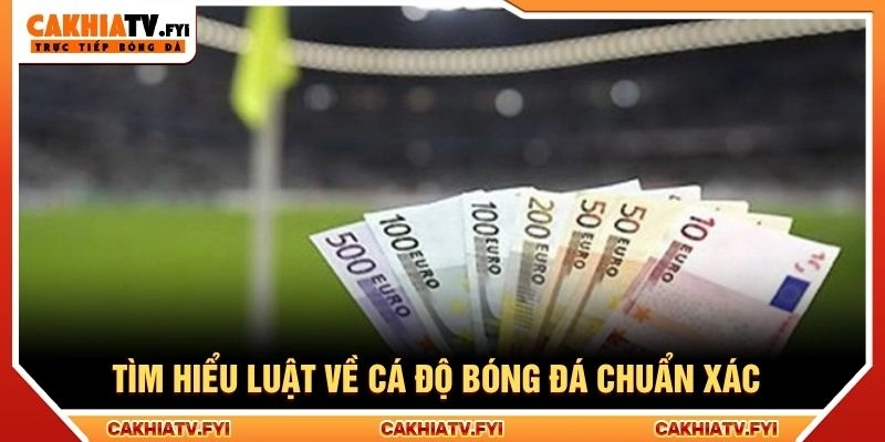 Tìm hiểu luật về cá độ bóng đá chuẩn xác Tìm hiểu luật về cá độ bóng đá chuẩn xác